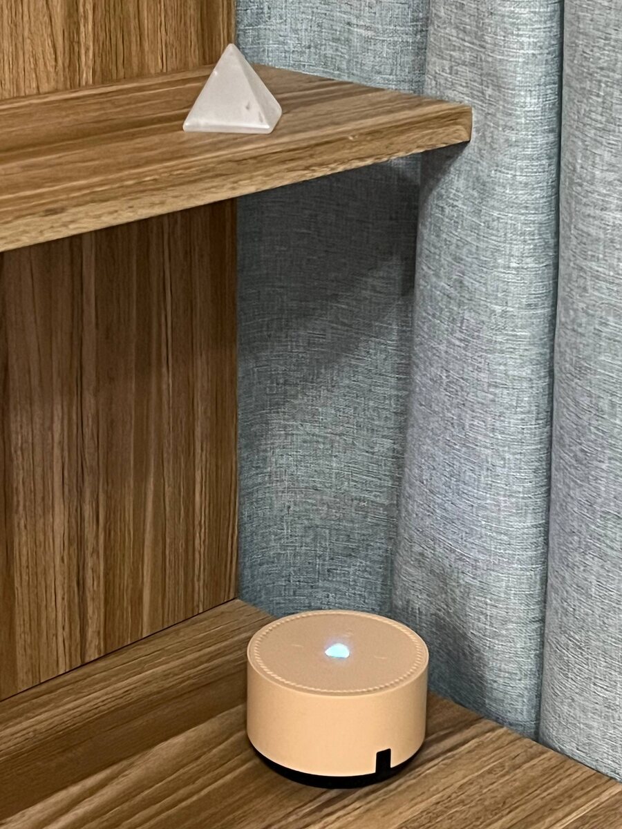 Моя соседка, умная колонка Алиса, вновь ожила. Фото из личного архива автора.