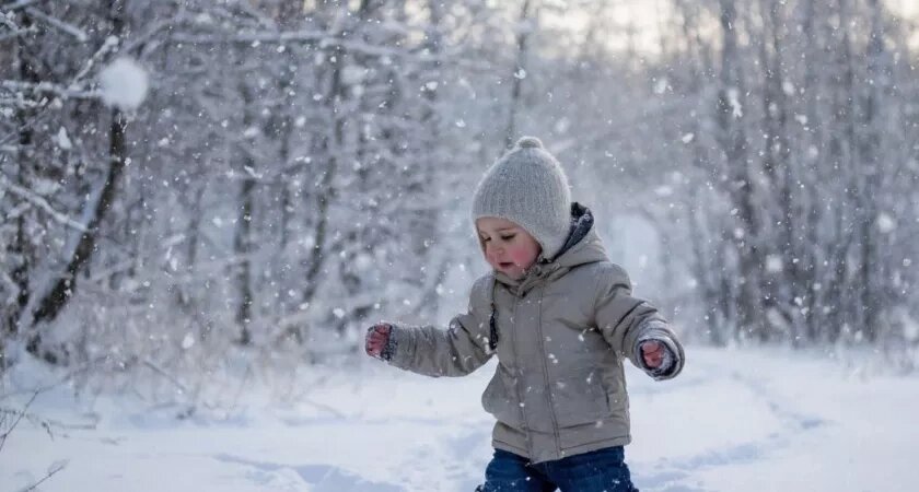    Картинка создана нейросетью Алиса AI