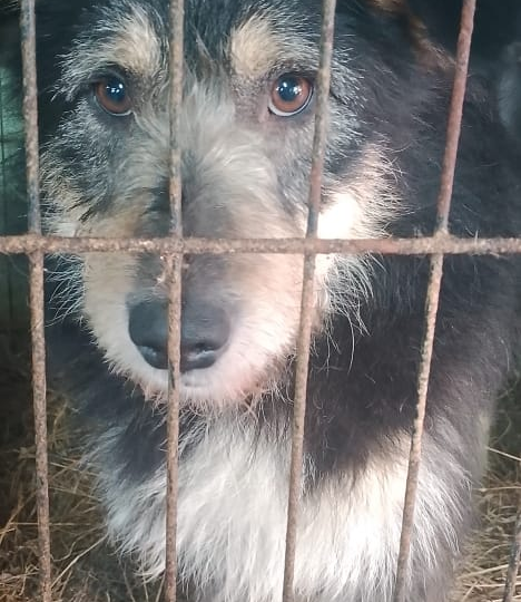 Лютая зима не хочет ослаблять свои тиски, у нас ещё холодно, поэтому главное спасение для хвостиков-это теплая еда, а в наличии 264 руб!🆘