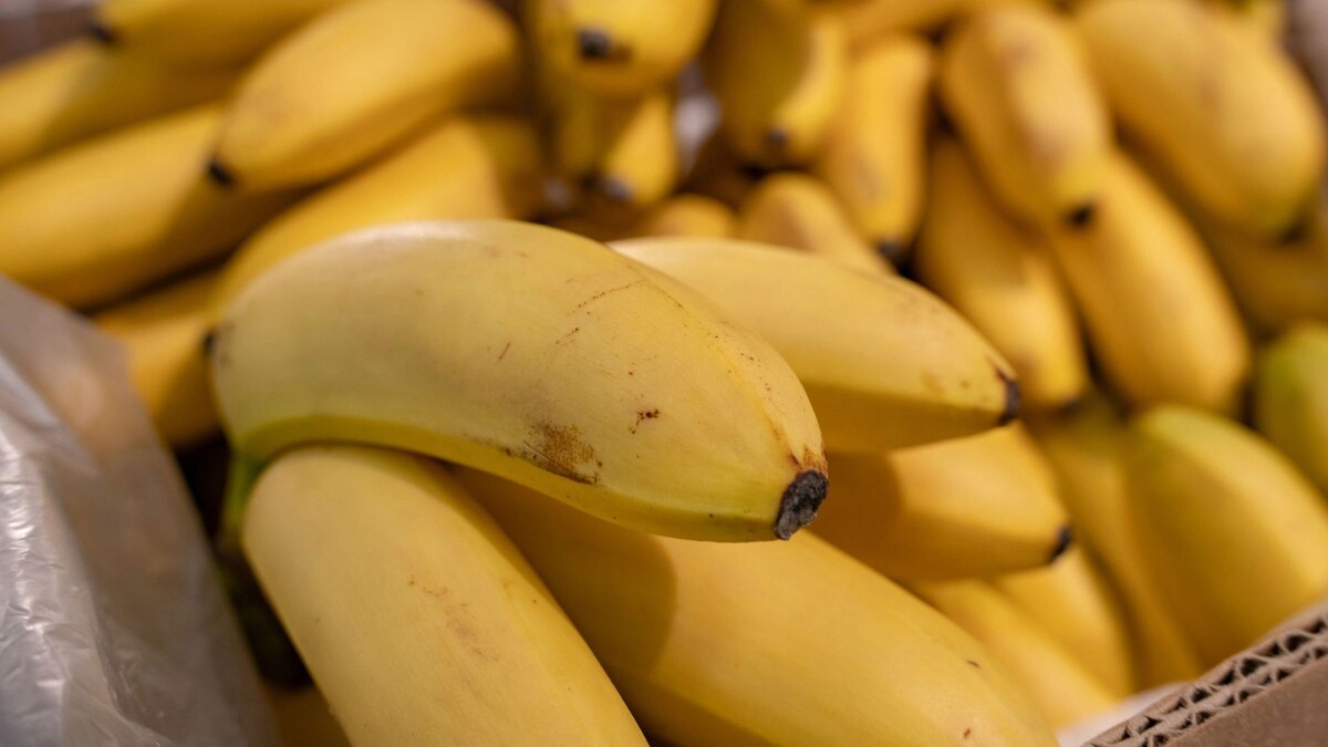    Фото: Сергей Зубков/«Ямал-Медиа»