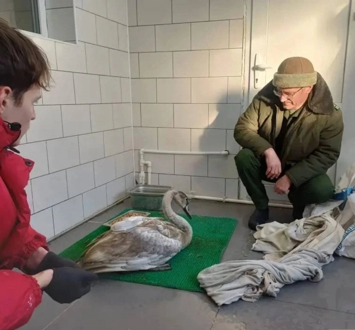 Листайте вправо, чтобы увидеть больше изображений