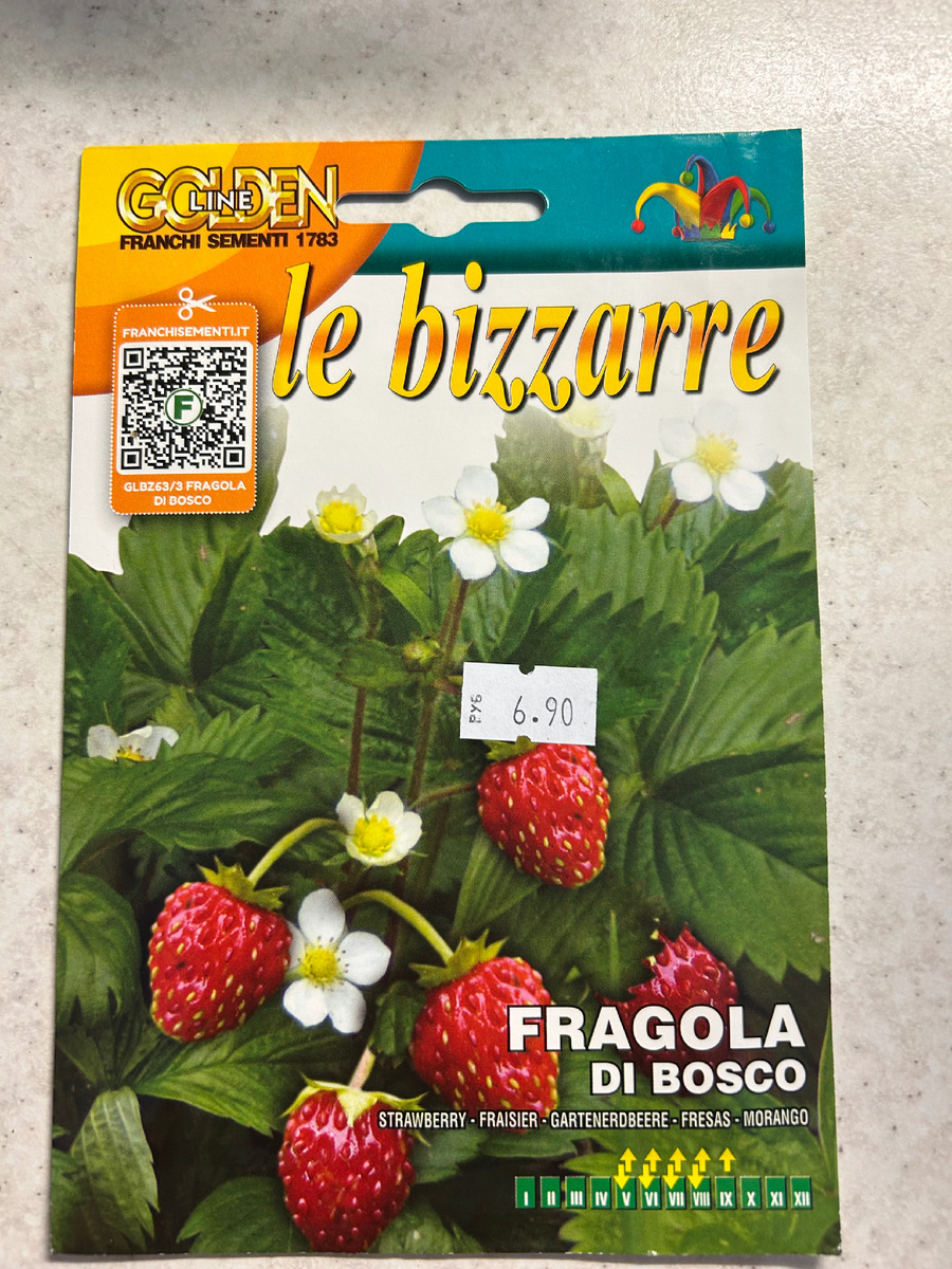 Семена  «заморские». Фото Мой второй сад. 