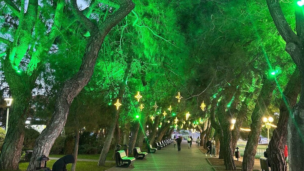    Фото: телеканал «Краснодар»