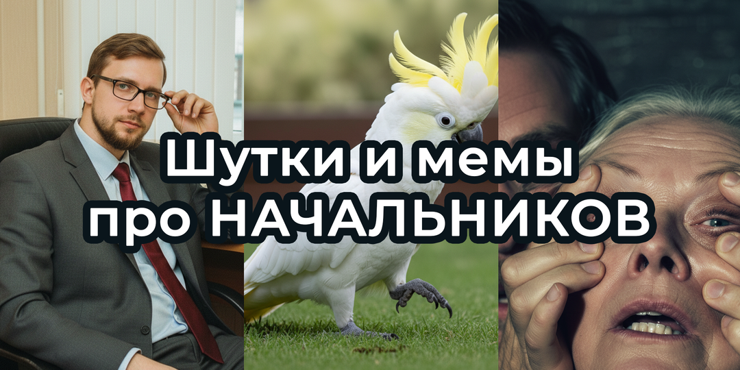 Шутки и МЕМЫ о НАЧАЛЬНИКАХ 2026. Подборка про несносных боссов
