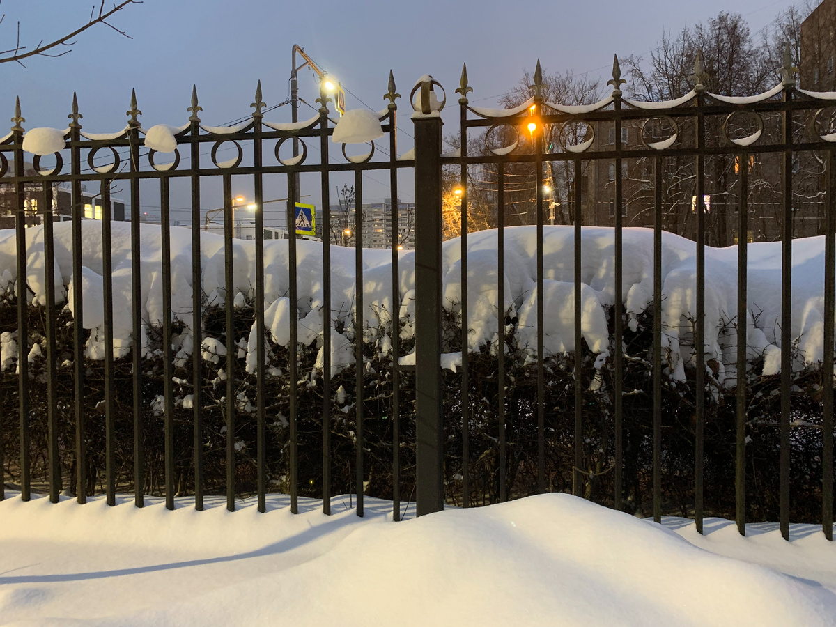 На кустарнике снежные шапки всю зиму копятся