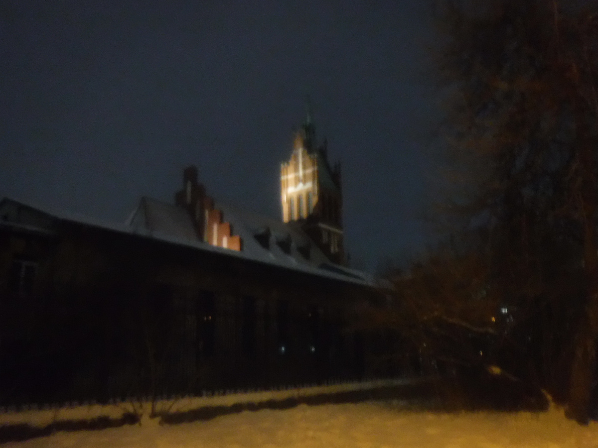 Подсвеченная готическая филармония 