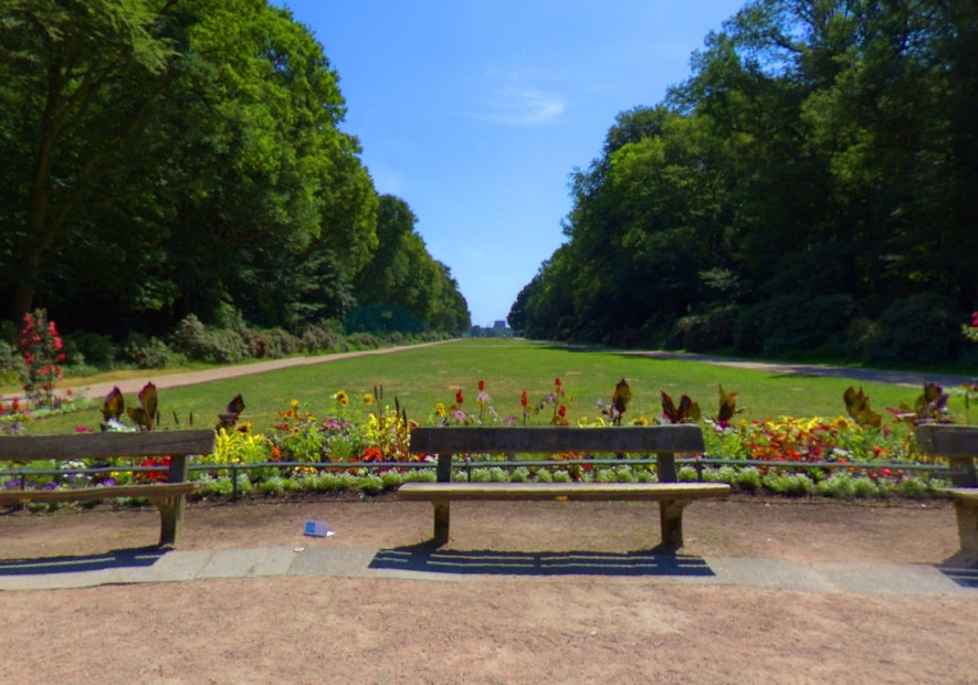 Городской парк с планетарием