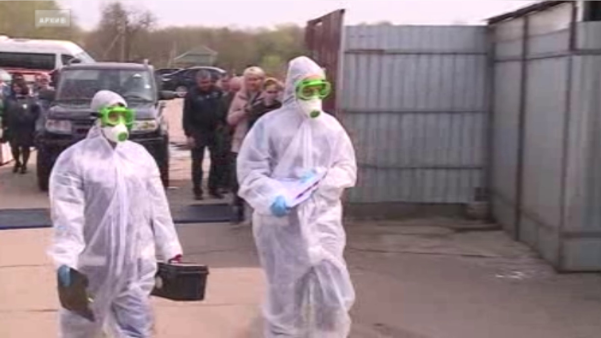    8 лет колонии за взятки получил бывший председатель комитета ветеринарии Курской области