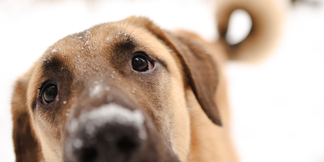 Письмо от Евы. Еще раз про любовь и большую надежду...