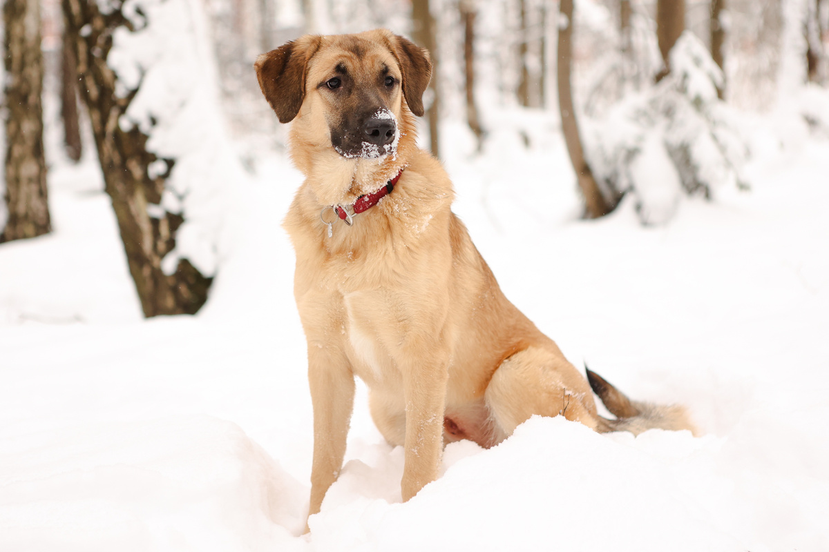 Я очень старалась, чтобы меня кто-то услышал