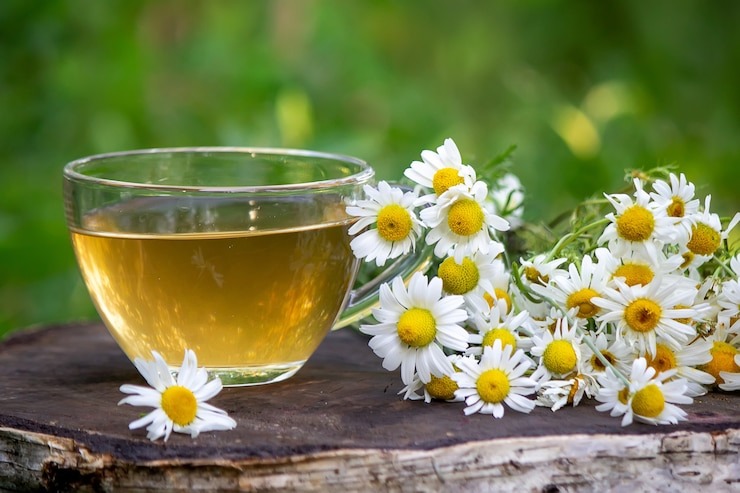 Фото из открытого источника