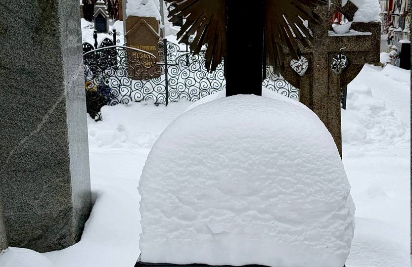 НОВОДЕВИЧЬИ ПИСАТЕЛИ МОИ