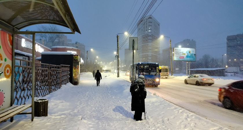    Фото progorod43.ru