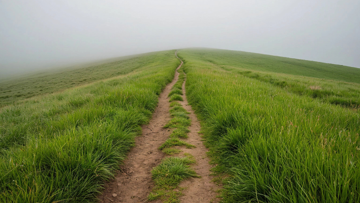 Ваша зависимость — это не пропасть. Это просто очень наезженная дорога. Рядом — десятки других путей. Секрет не в том, чтобы перестать ходить по старой. А в том, чтобы раз и навсегда выбрать новую.