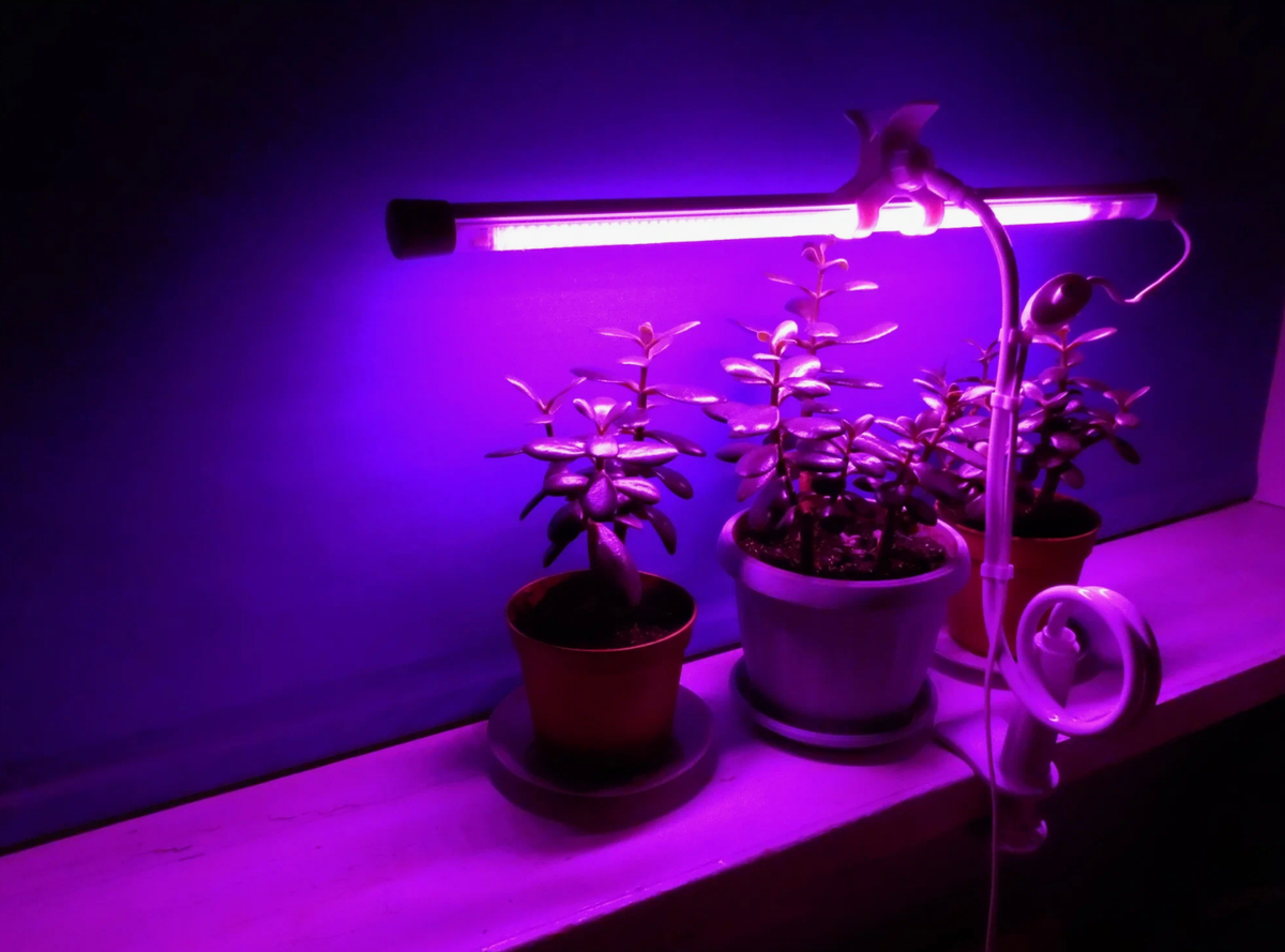 Источник фото: market.yandex.ru