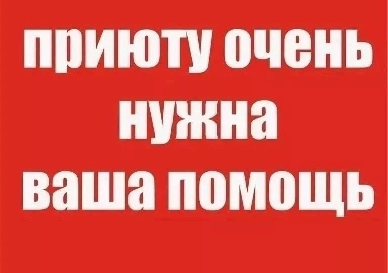 Помощь приюту и котикам ❤️