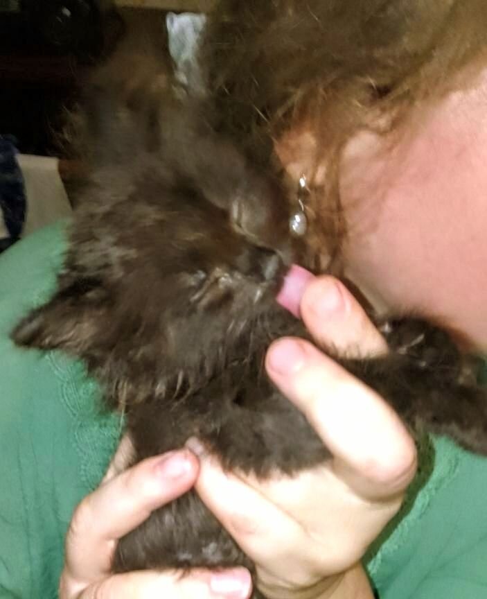 Кузя в младенчестве