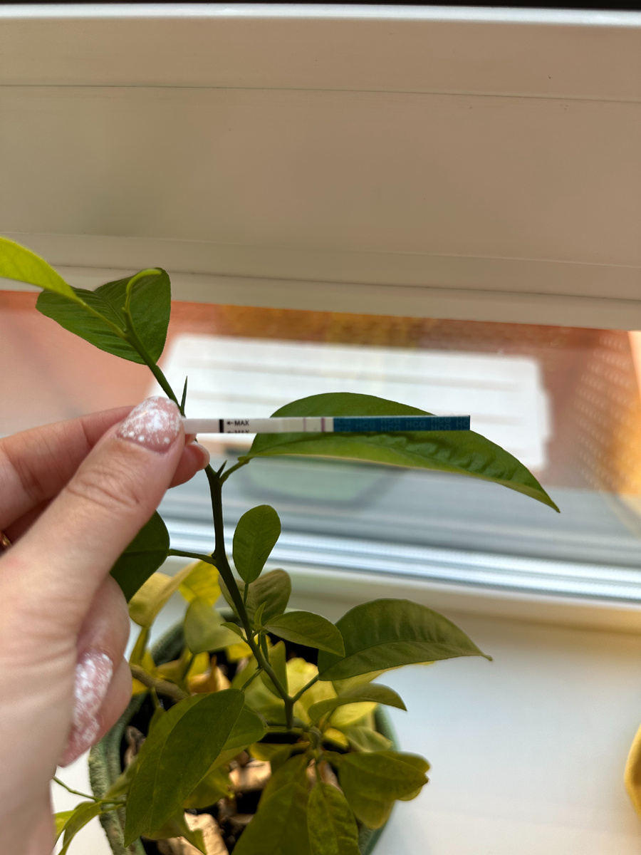 В этот момент, я была в шоке, смотрела туда не  отрываясь