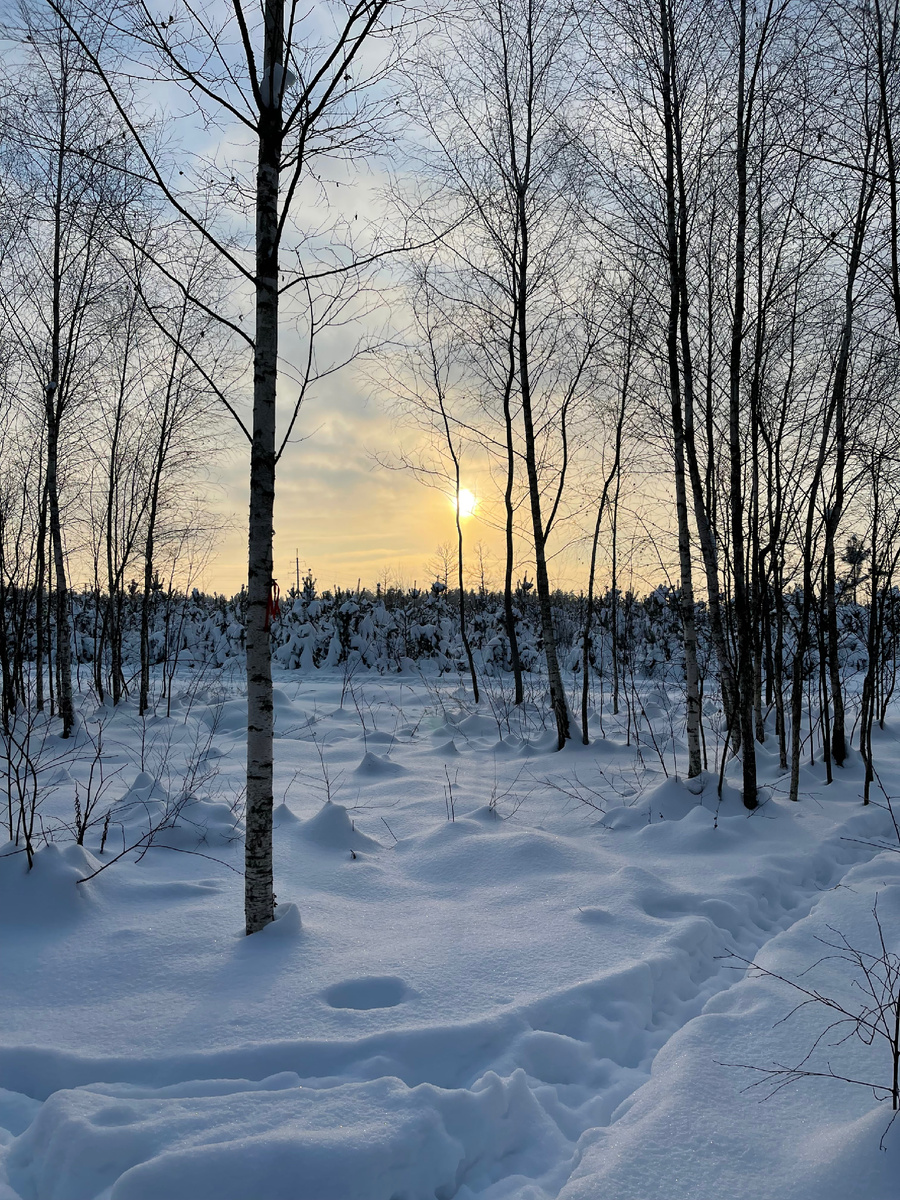 Мороз и солнце.