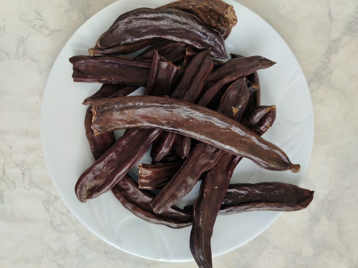 Напоминает огромные стручки акации