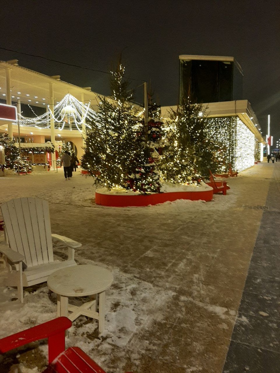 Пушкинская набережная в Парке Горького. Новогодняя Москва 2026