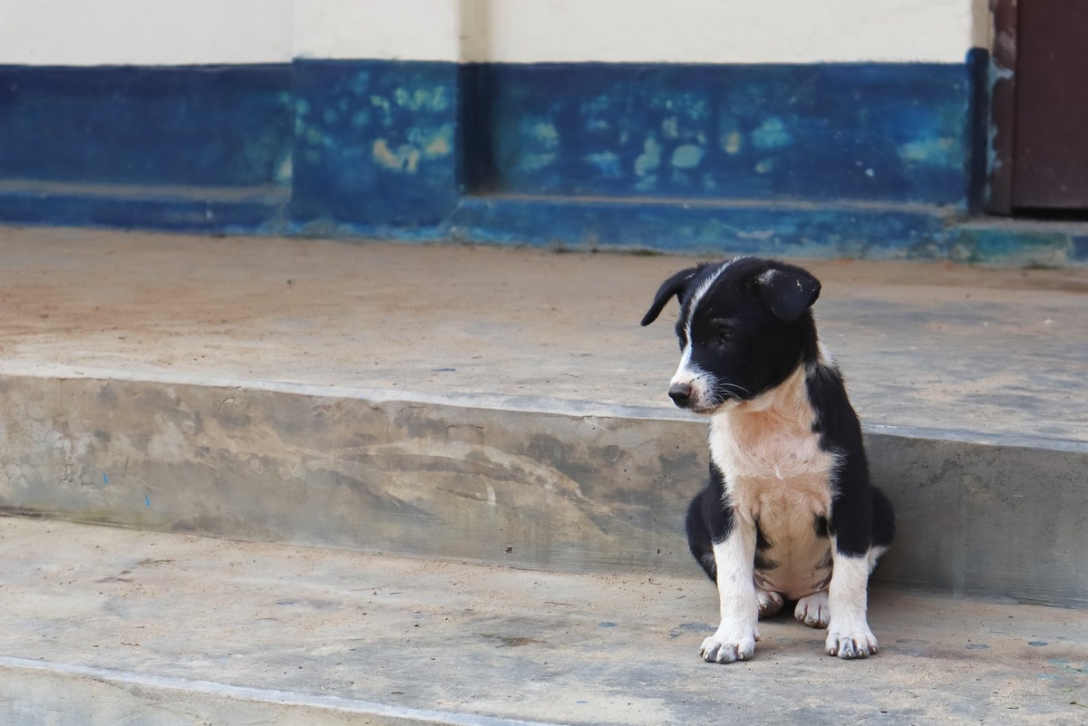    Фото несет иллюстративный характер