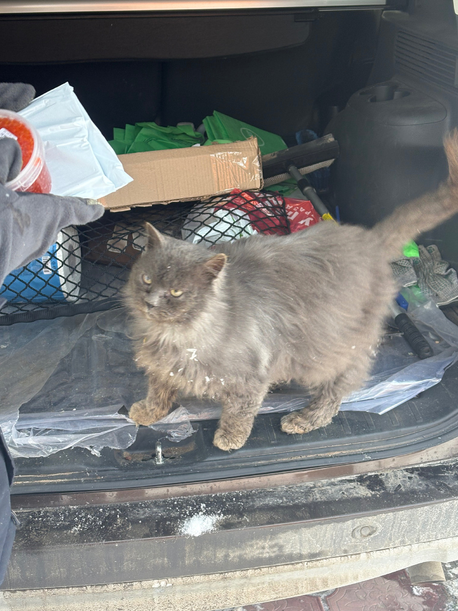 Ну и чего вы там накупили! Везде фото автора.