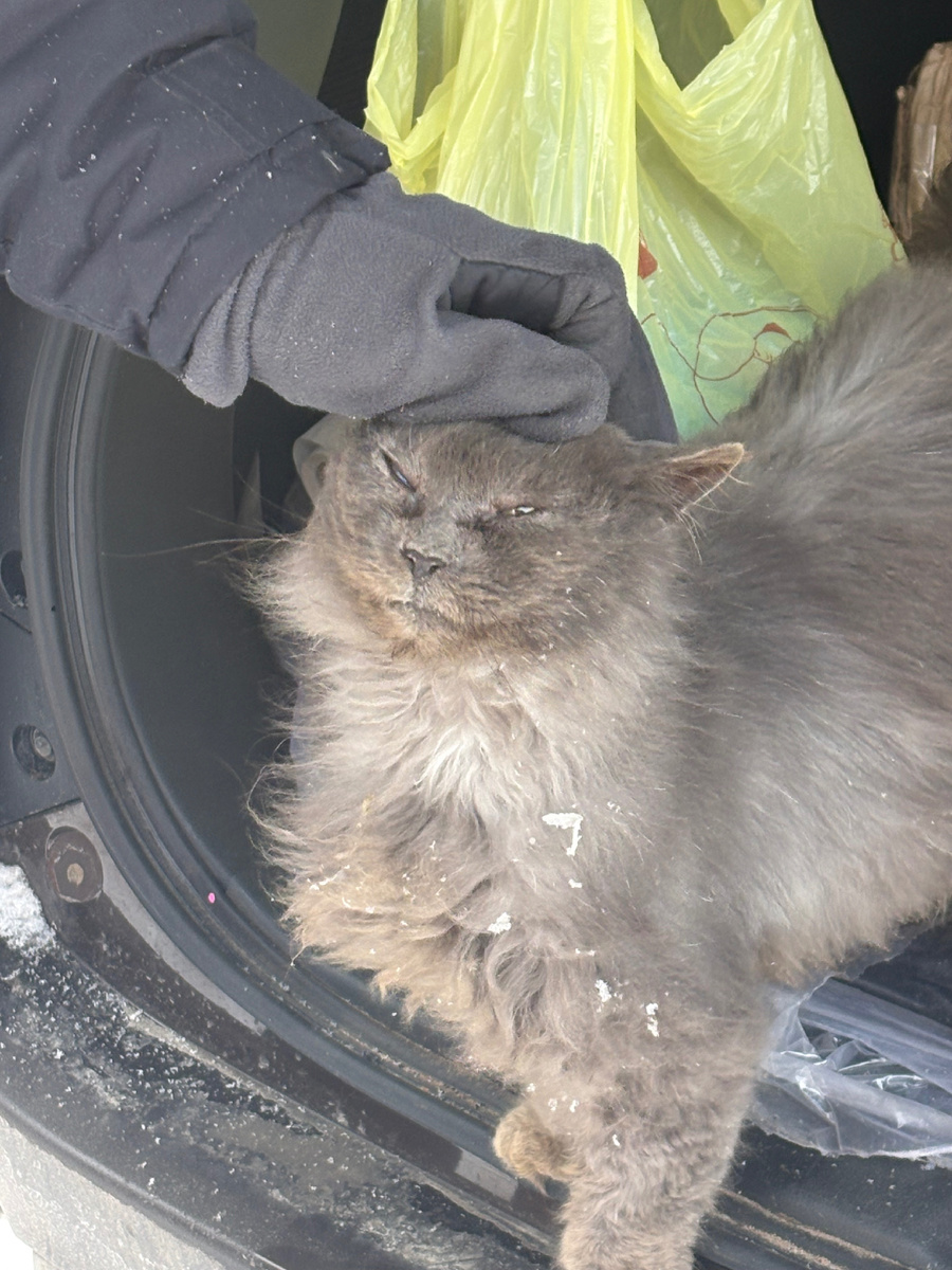 Дыма - молодец!