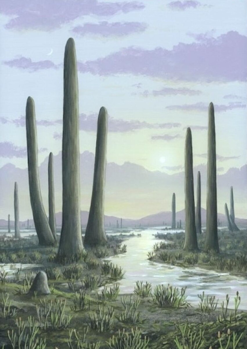 8-метровые живые организмы