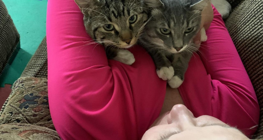    Фото Анастасии Дмитриевой