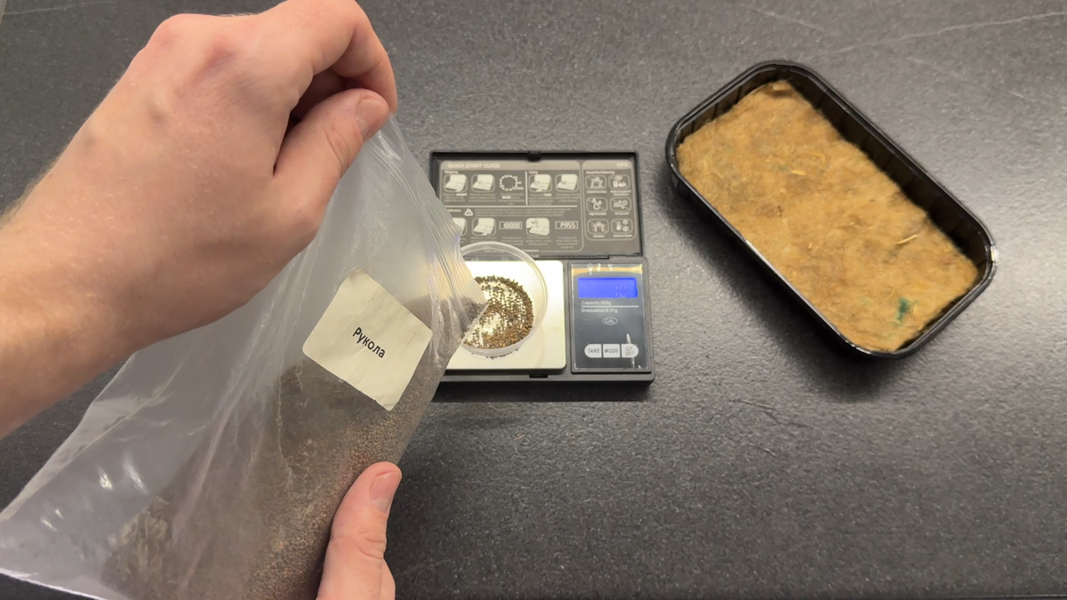 Отмеряем семена