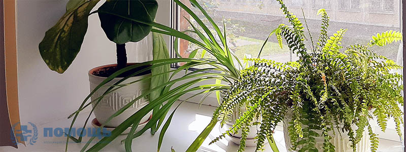 Окно в АКЦ "Помощь"