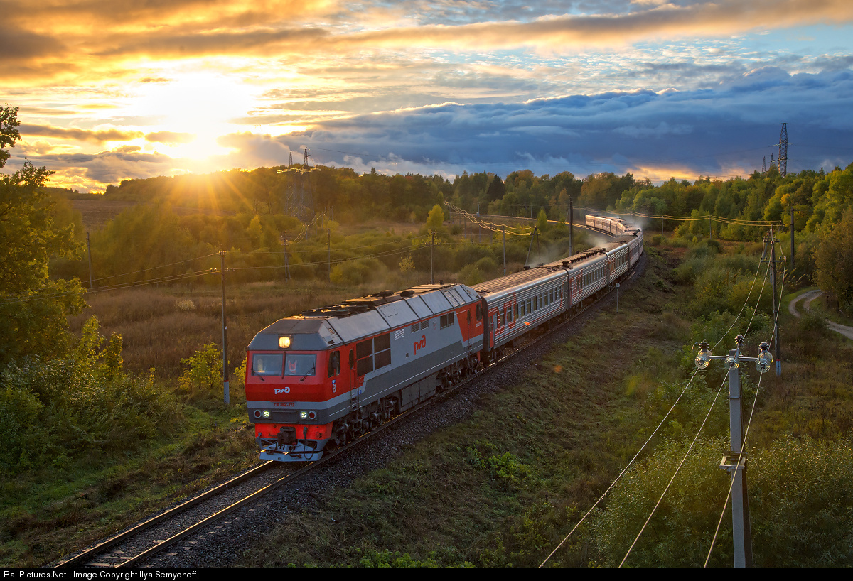 Картинка из сети Интернет
