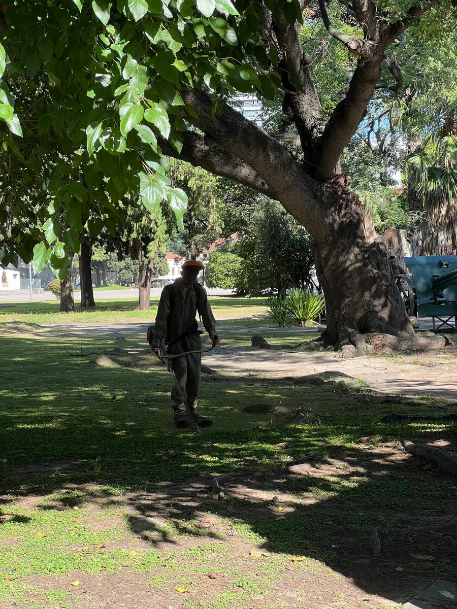 Аргентиский военный косит.. траву. foto d.ekiseev / ilook
