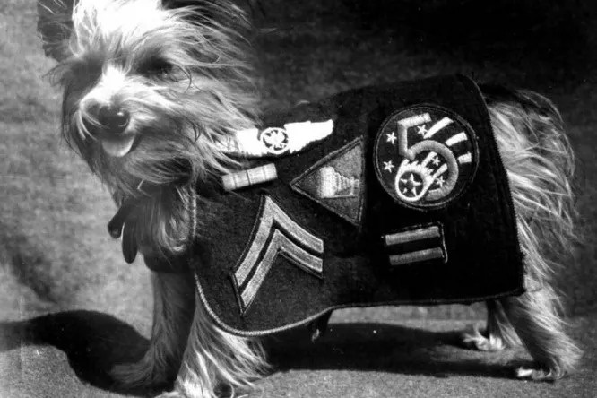 Малышка Смоки.