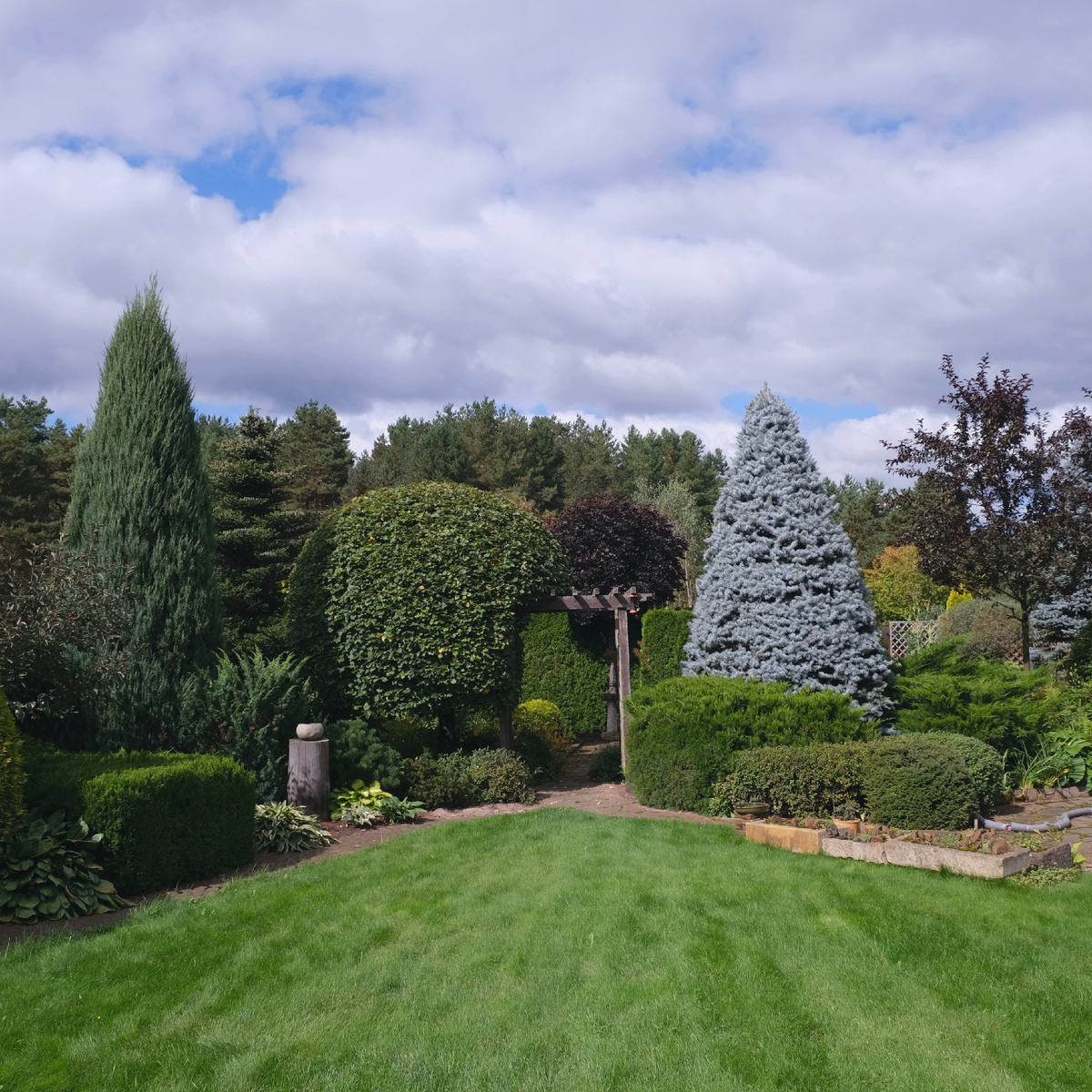 Общий вид на сад