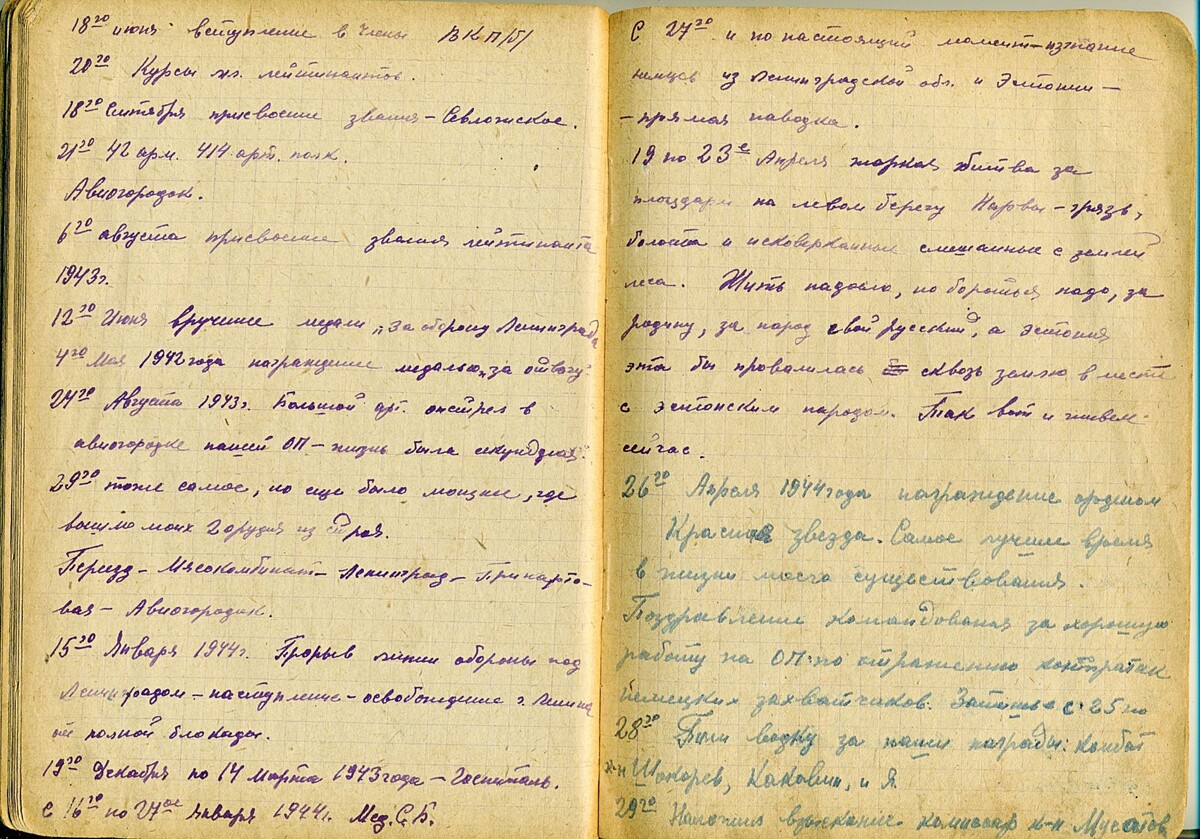 Из дневника отца