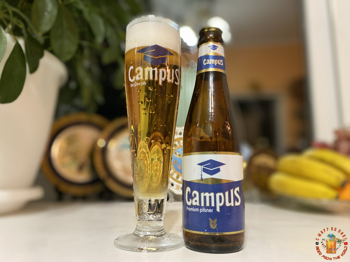 Обзор пива Campus Premium