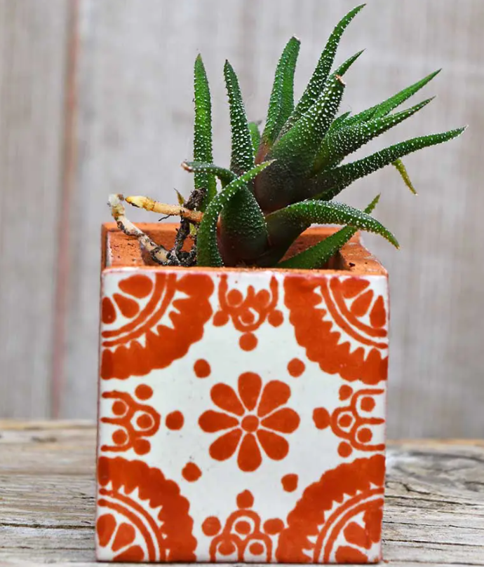 Фото Pillar Box Blue