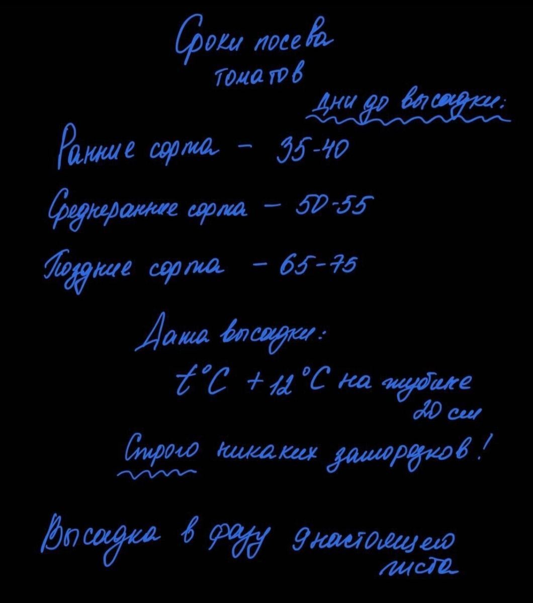 фото с канала Семена Алтая