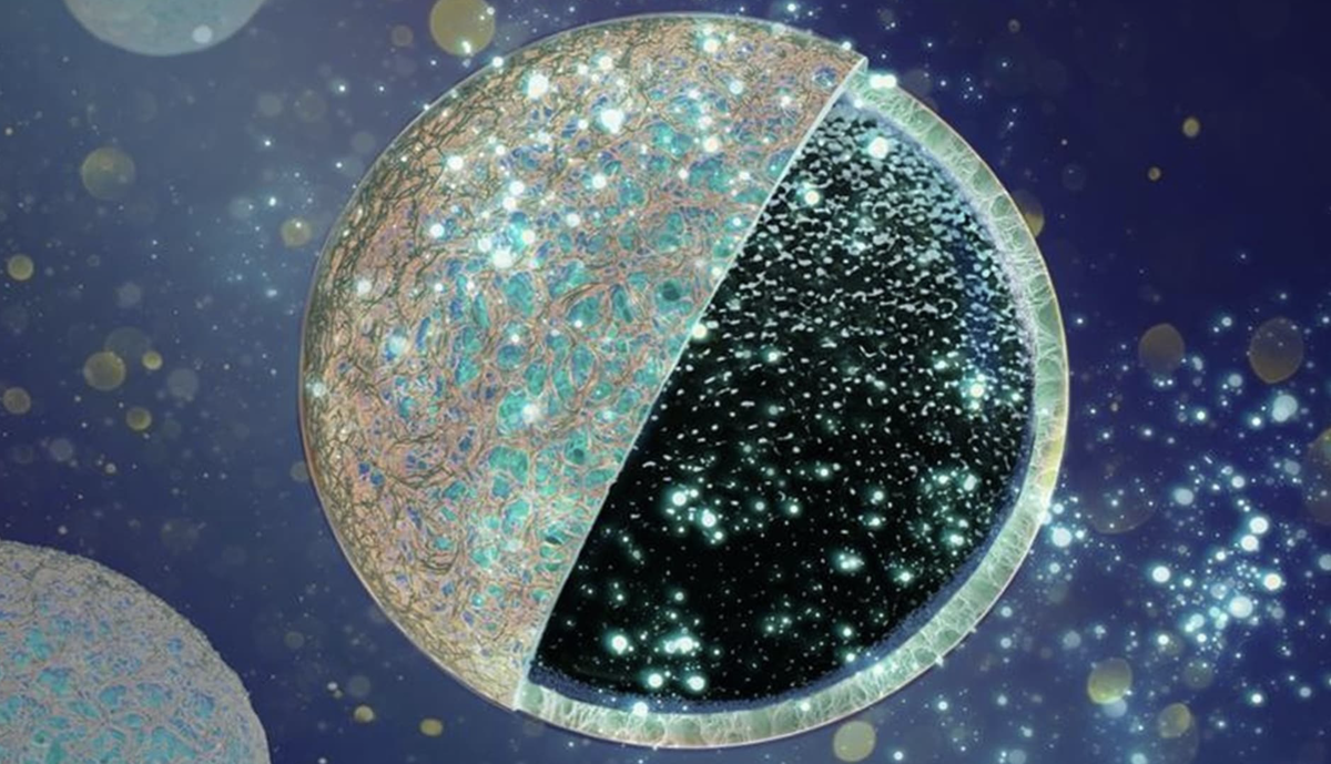 Внешний защитный слой защищает пористый сердечник углеродного анода от нежелательных отложений, тем самым повышая производительность батареи.