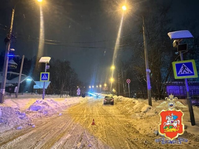    Фото: телеграм-канал "Подмосковная полиция"