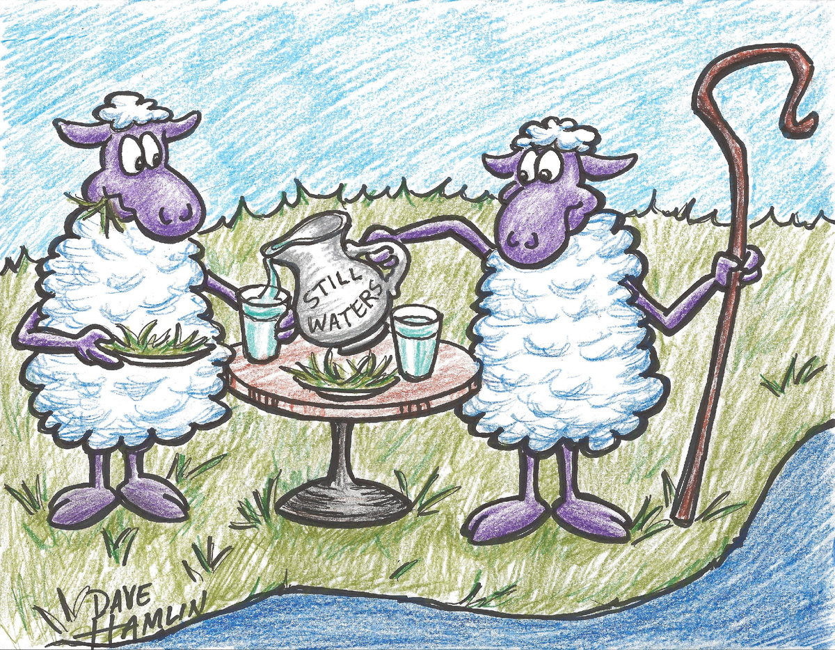 Встретились...