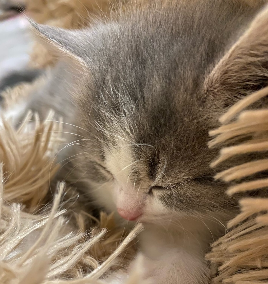    фото: © Мария Голубева