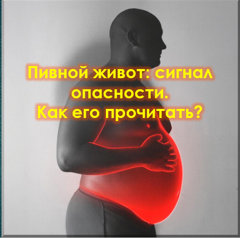 Пивной живот — не смешно, а опасно. Что он «кричит» о вашем здоровье и как его убрать