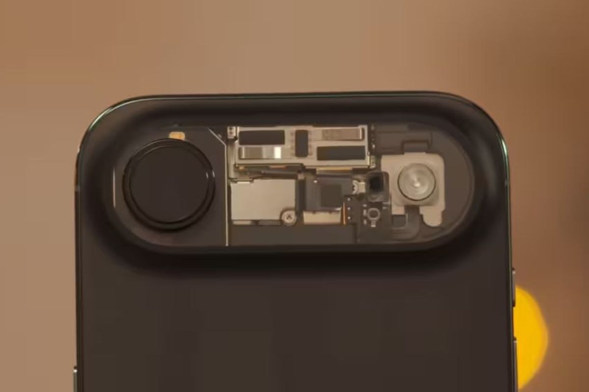    Фото: кадр из видео serg1us