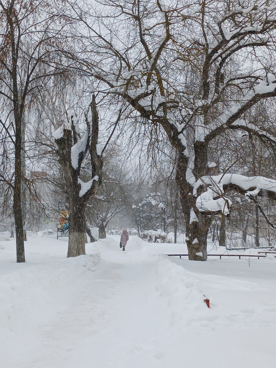 На улице у нас сегодня вот так...