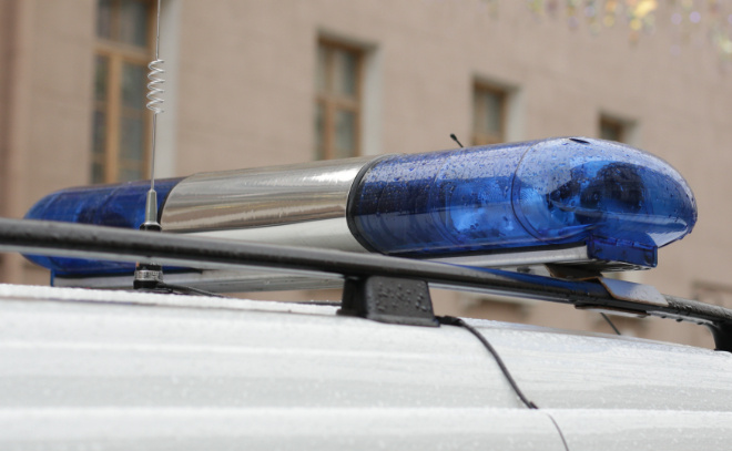    © Baltphoto / Мария Добрыгина