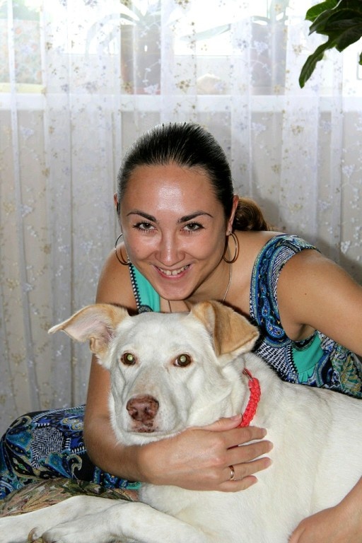 Бэлла из приюта Солнцево