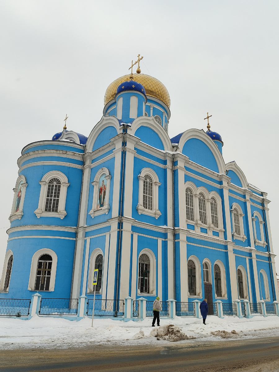 Липецкая область, город Данков, улица Семёновского, 1